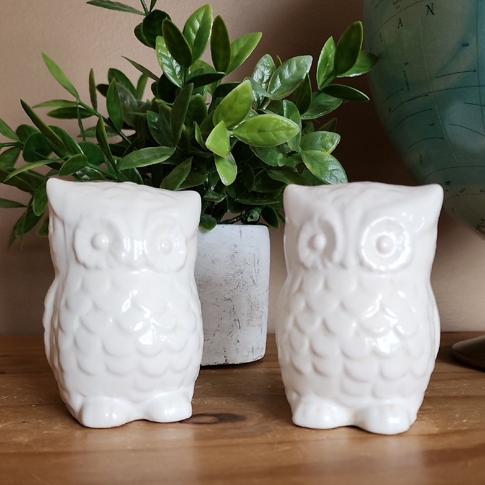 Owl Salt And Pepper Shaker Set